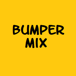 A Mix of Artist's Bumpers for a Promo Inexpensive Voice Material